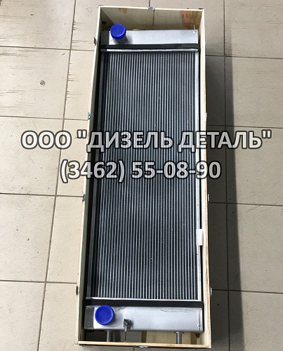 K1008126